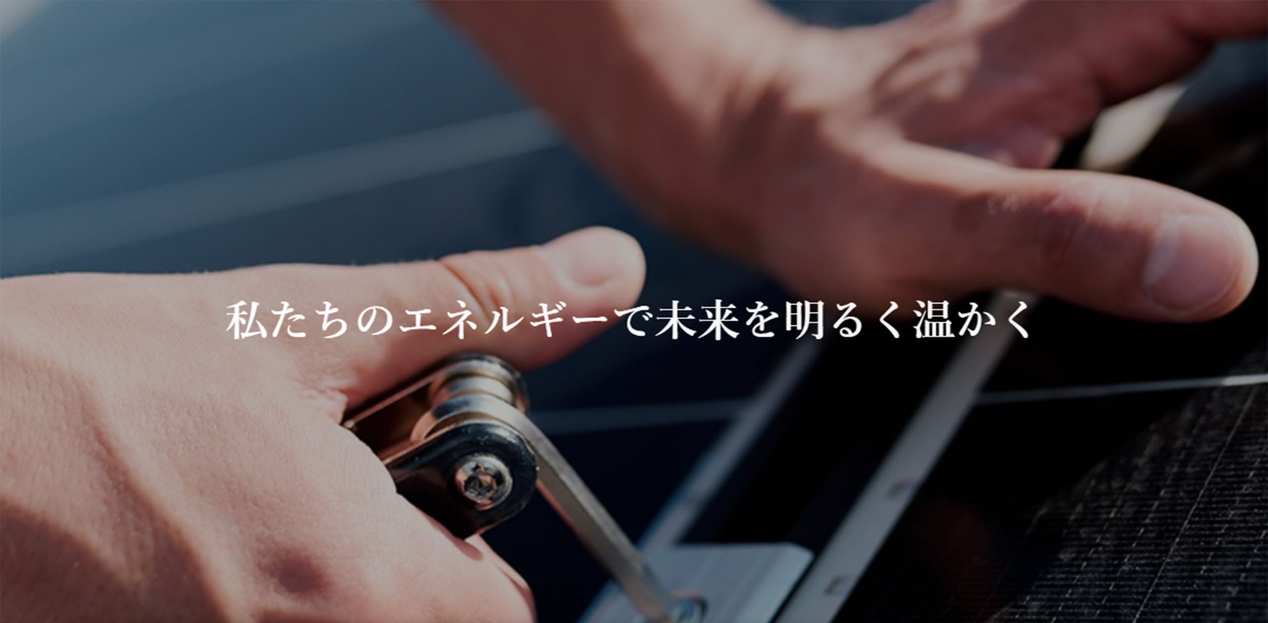 スクショ_LC-JAPANの基本情報